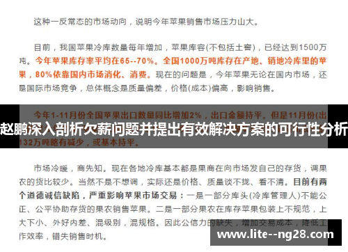 赵鹏深入剖析欠薪问题并提出有效解决方案的可行性分析
