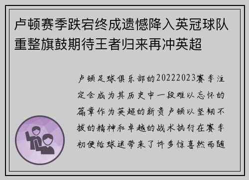 卢顿赛季跌宕终成遗憾降入英冠球队重整旗鼓期待王者归来再冲英超